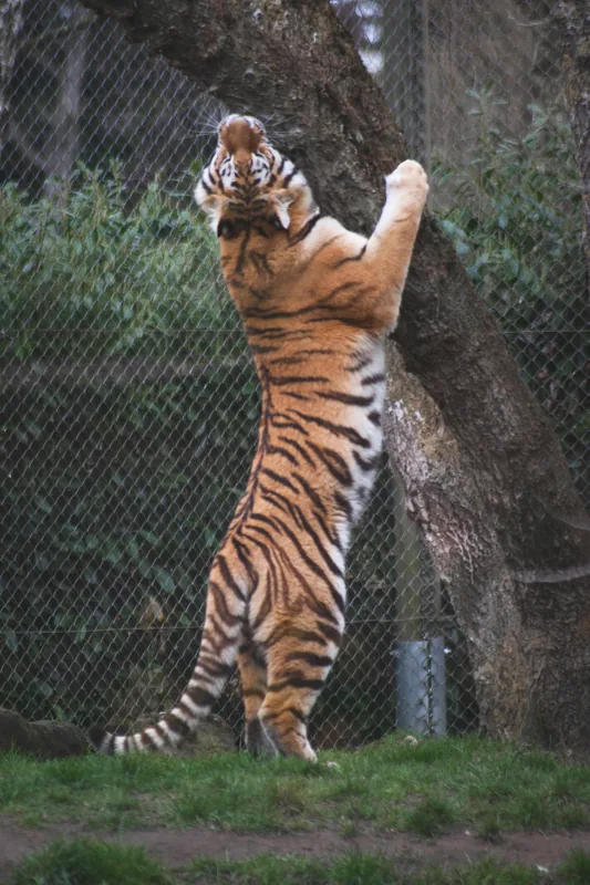 Doin' a lil' climb