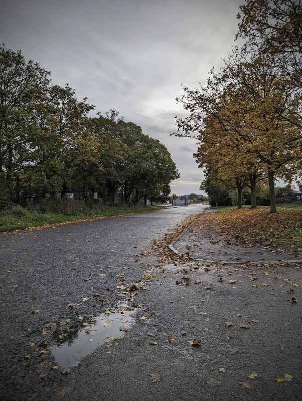 The Autumn is here