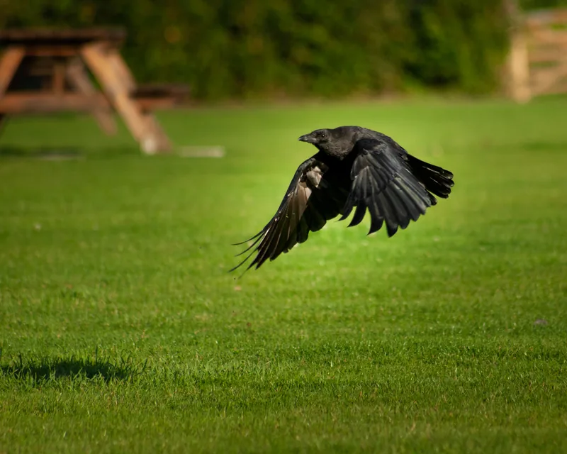 Take off