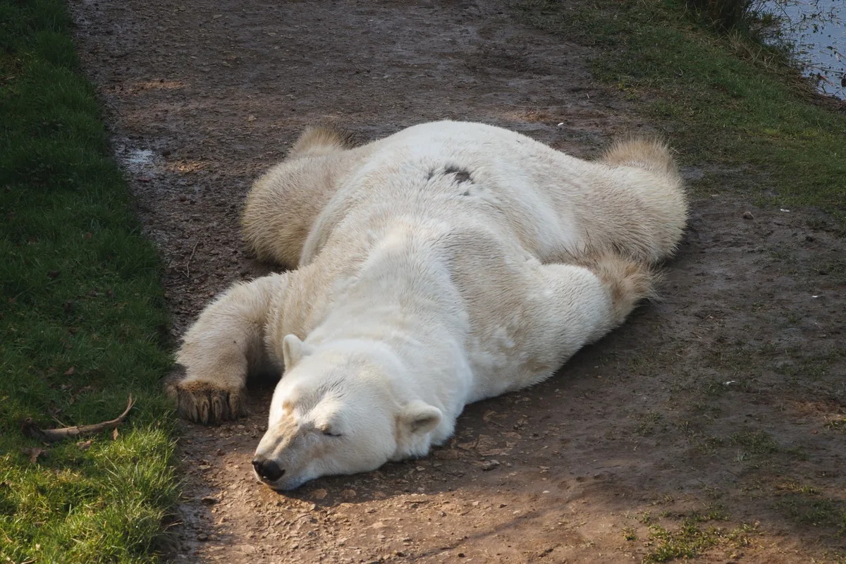 Nap time
