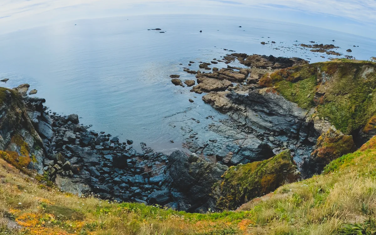 The Lizard views