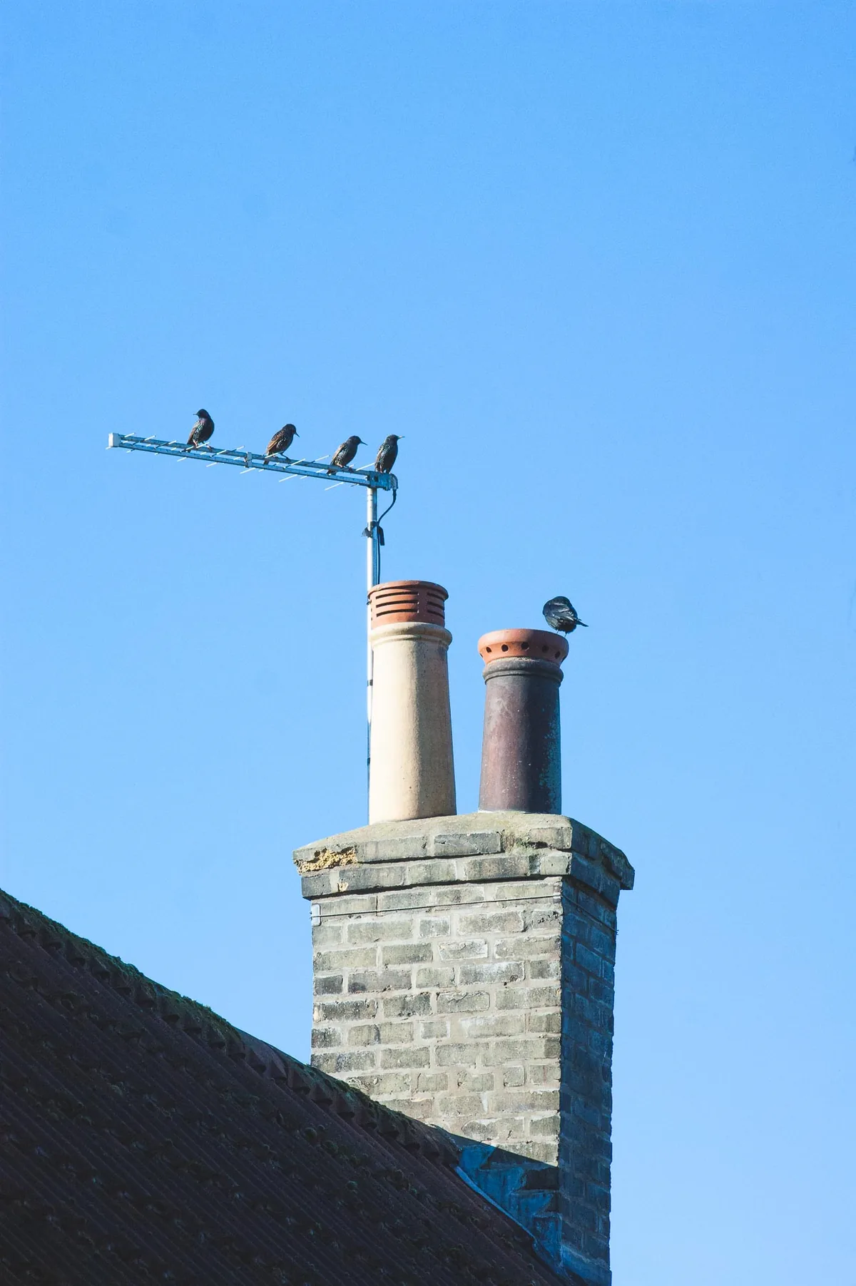 Signal boosters