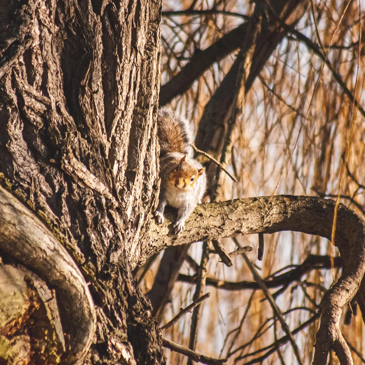 You looking at me?