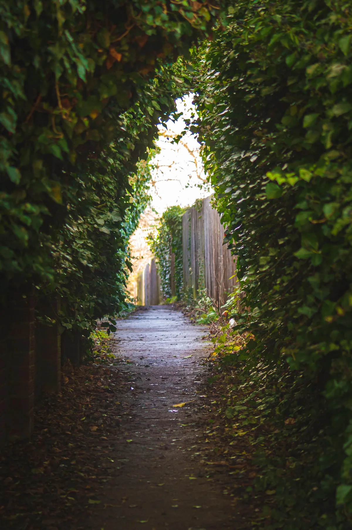 Castle Hill Passage