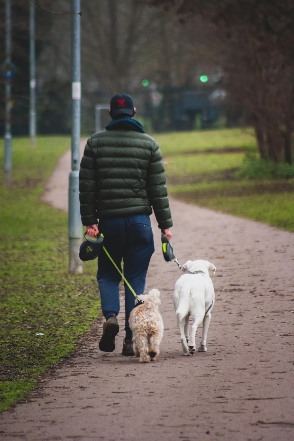 The Walk