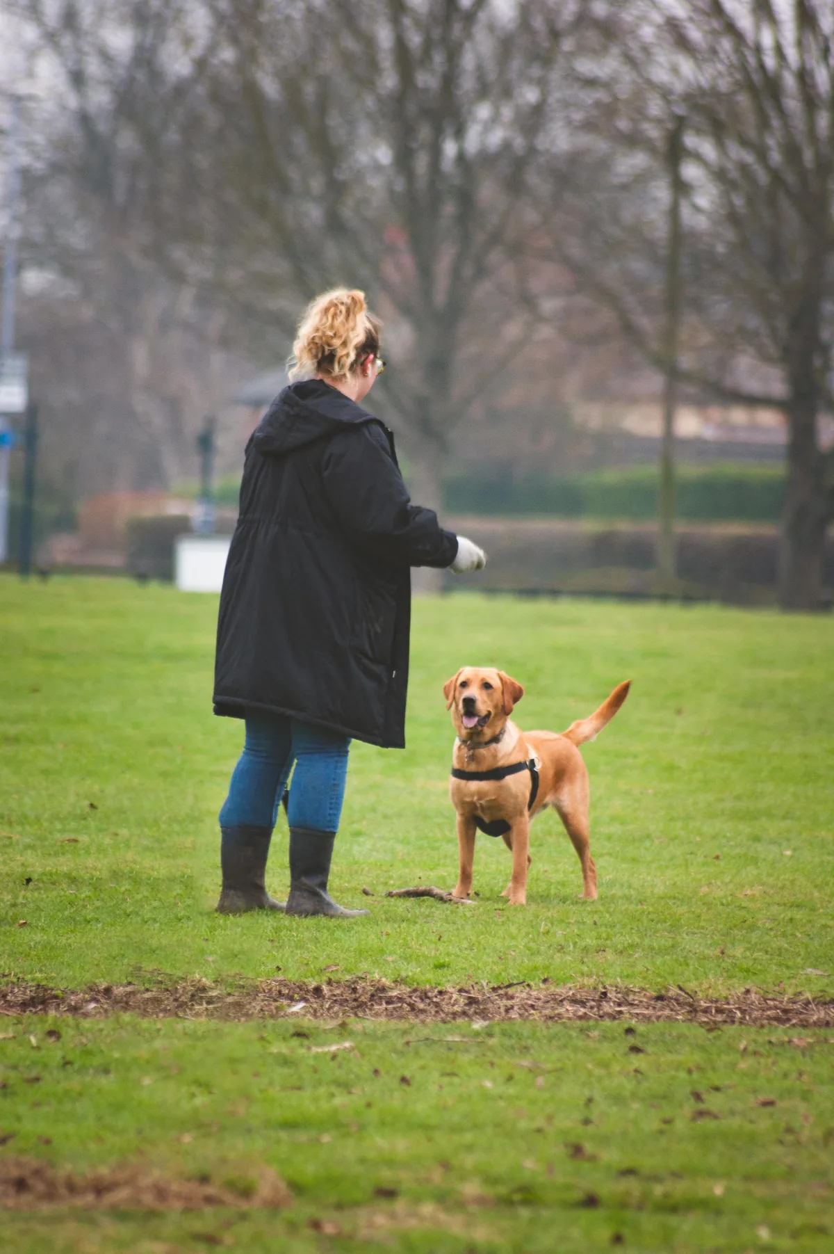 Good boyo