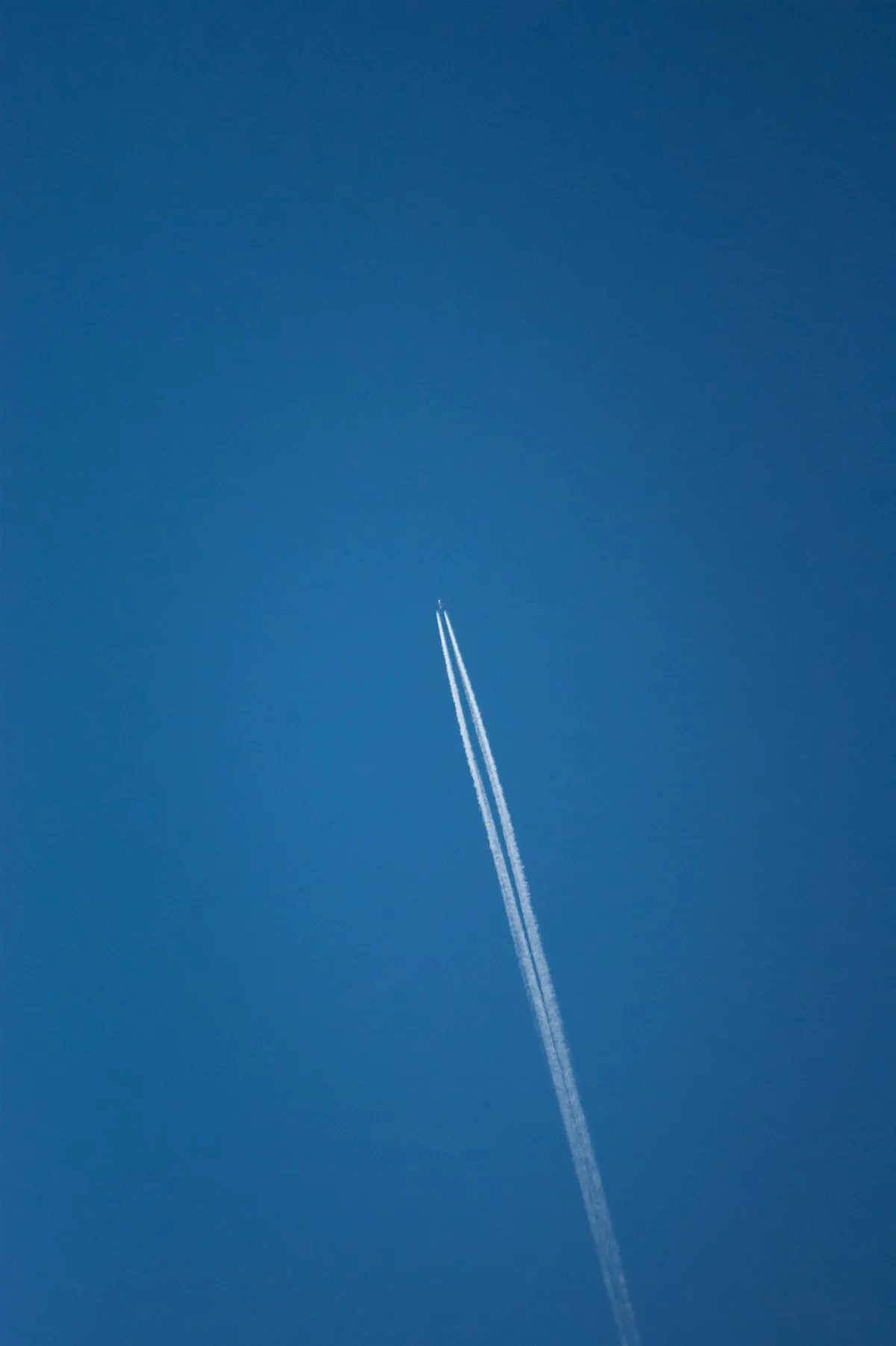 Flight