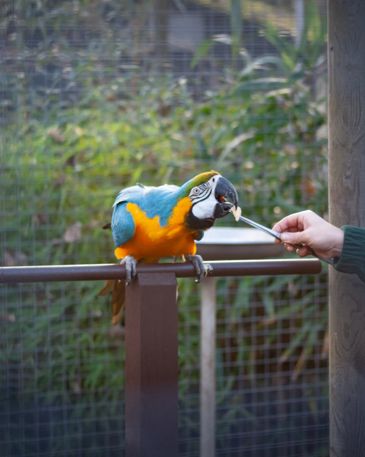 Feeding time