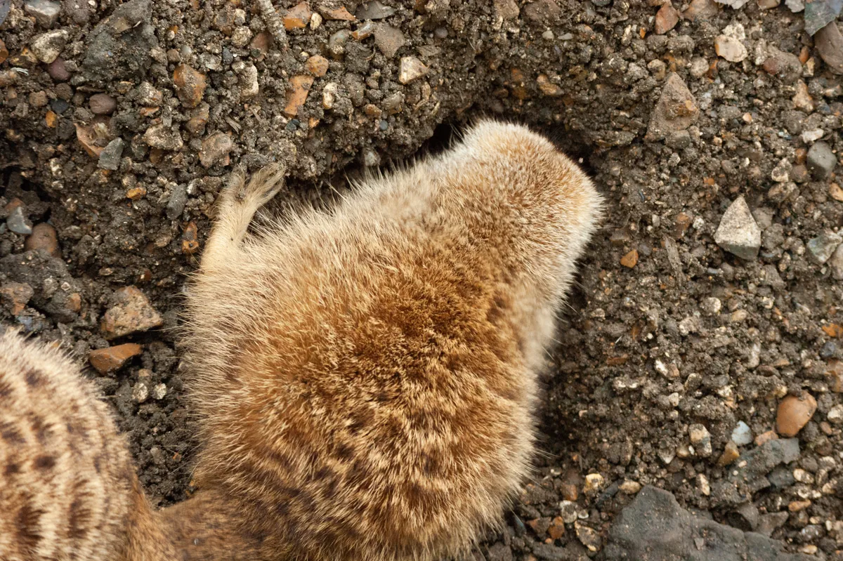 You can't see me!